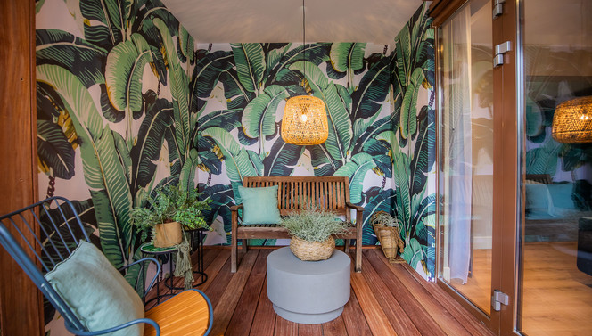 Jungle Family Suite